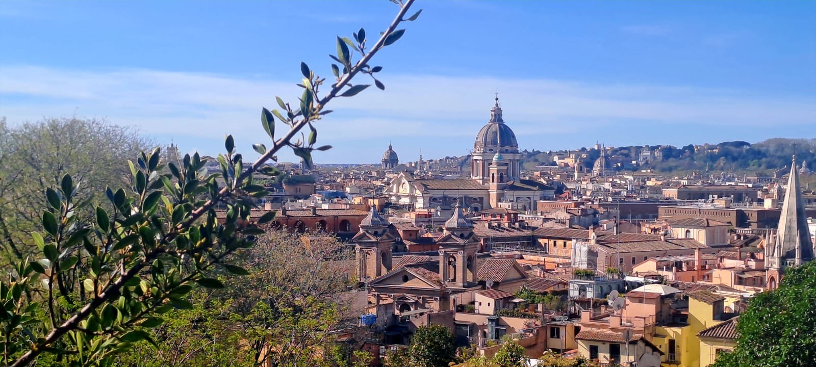 3d8d0247 ce61 46cf 8890 cd46fce6e75e