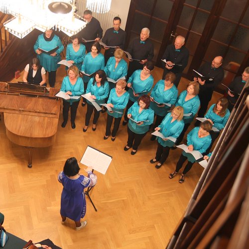 Informace k volbám do Senátu a zastupitelstev krajů (2)