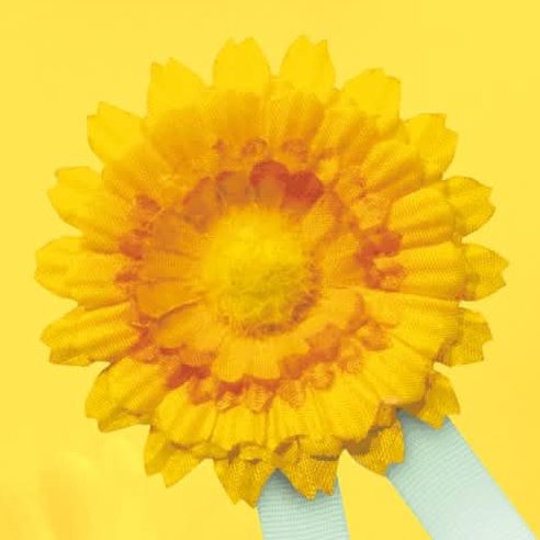 Informace k volbám do Senátu a zastupitelstev krajů (2)