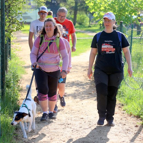 Informace k volbám do Senátu a zastupitelstev krajů (2)