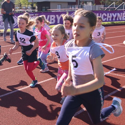 Informace k volbám do Senátu a zastupitelstev krajů (2)