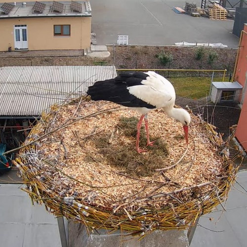 Informace k volbám do Senátu a zastupitelstev krajů (2)