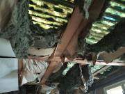 janderovavilaprosinec2021-8